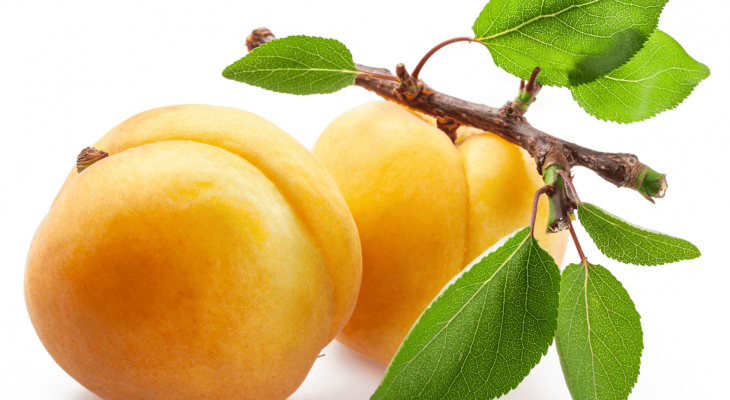Hướng dẫn cách làm mặt nạ Mơ giúp làm mềm da